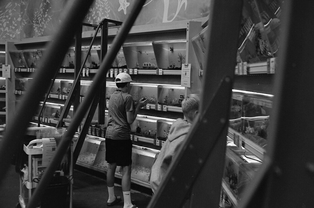 store detective observing shoppers